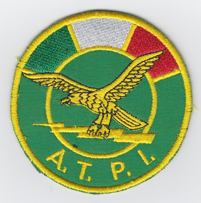 IT_060_Shoulder_Patch_Antiterror_Special_Unit_A.T.P.I._Backround_green_Type_III